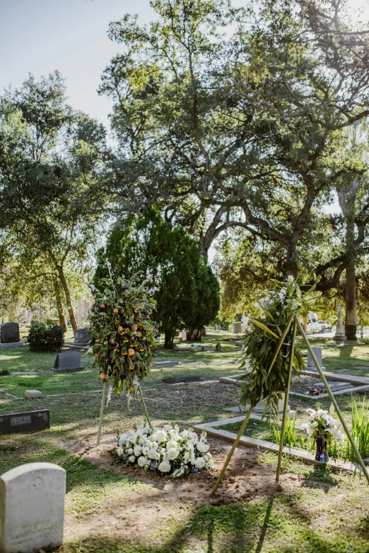 a cemetery with graves and trees in the background, flowers and vines, in savannah, celestial gardens, brown