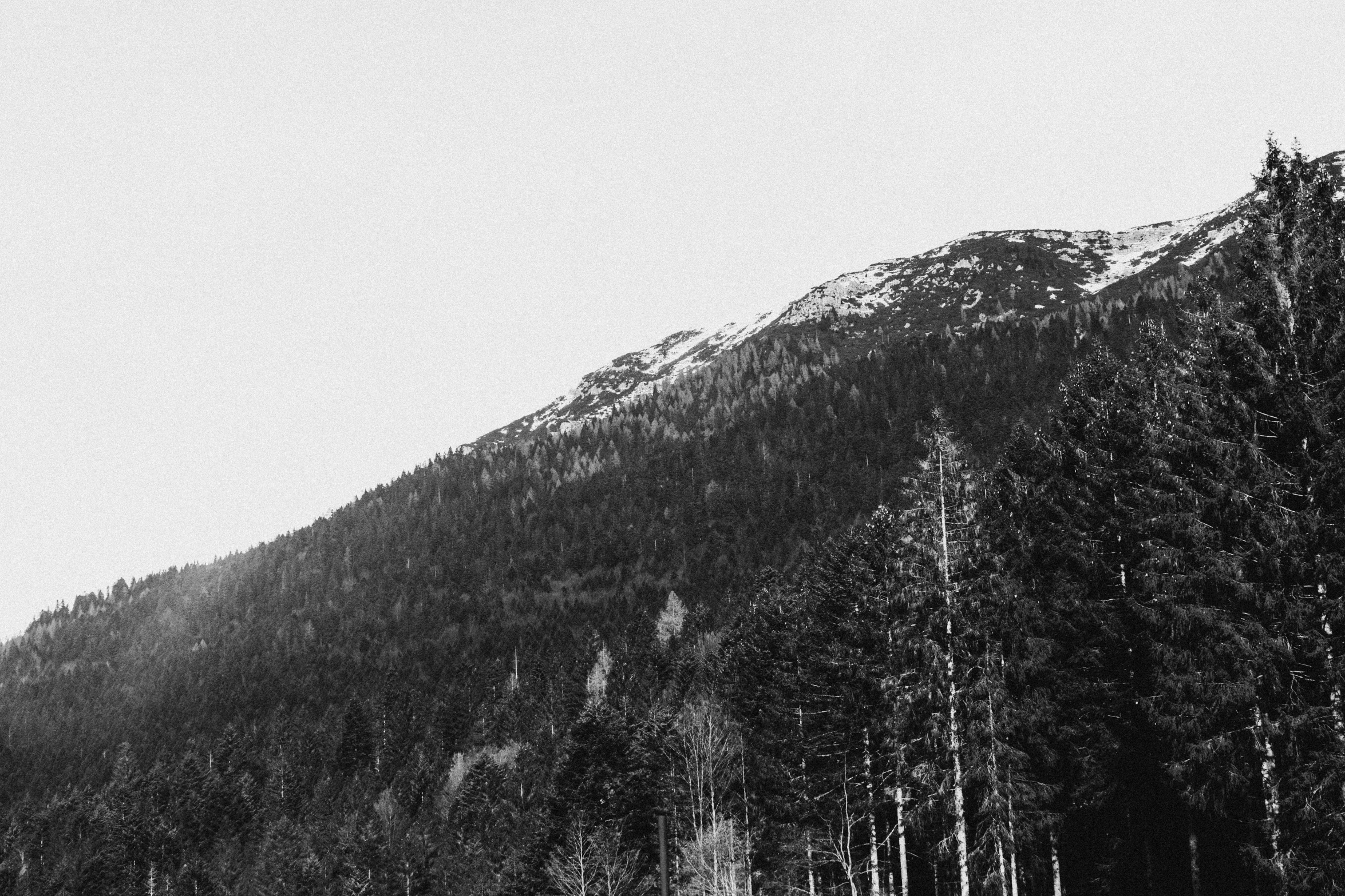 a black and white photo of a snow covered mountain, a black and white photo, unsplash, postminimalism, forested background, vsco film grain, whistler, 90s photo