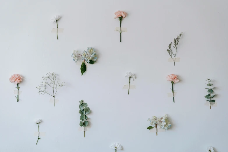 a wall that has a bunch of flowers on it, trending on unsplash, aestheticism, light grey backdrop, floating symbols and crystals, minimalistic aesthetics, wallpaper design