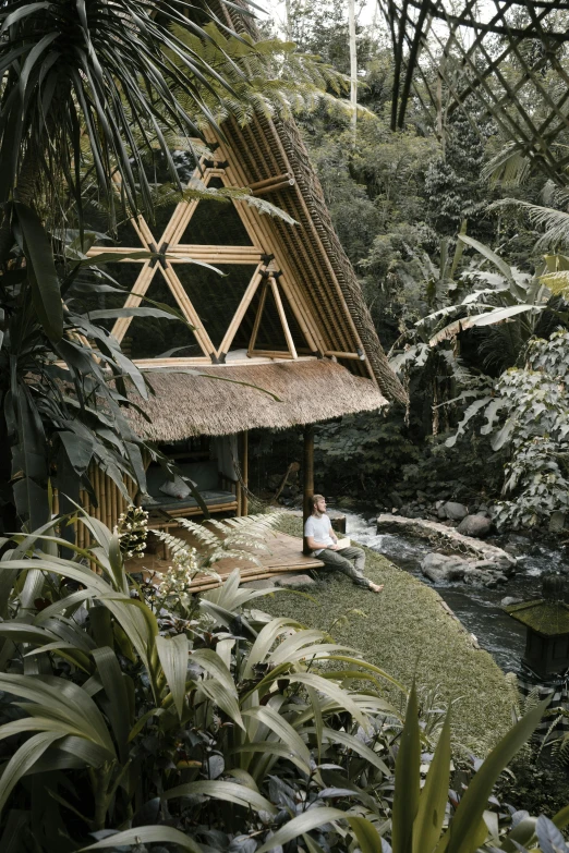 a man sitting on top of a lush green field, by Julia Pishtar, sumatraism, stream flowing through the house, in the tropical wood, geodesic architecture, flatlay