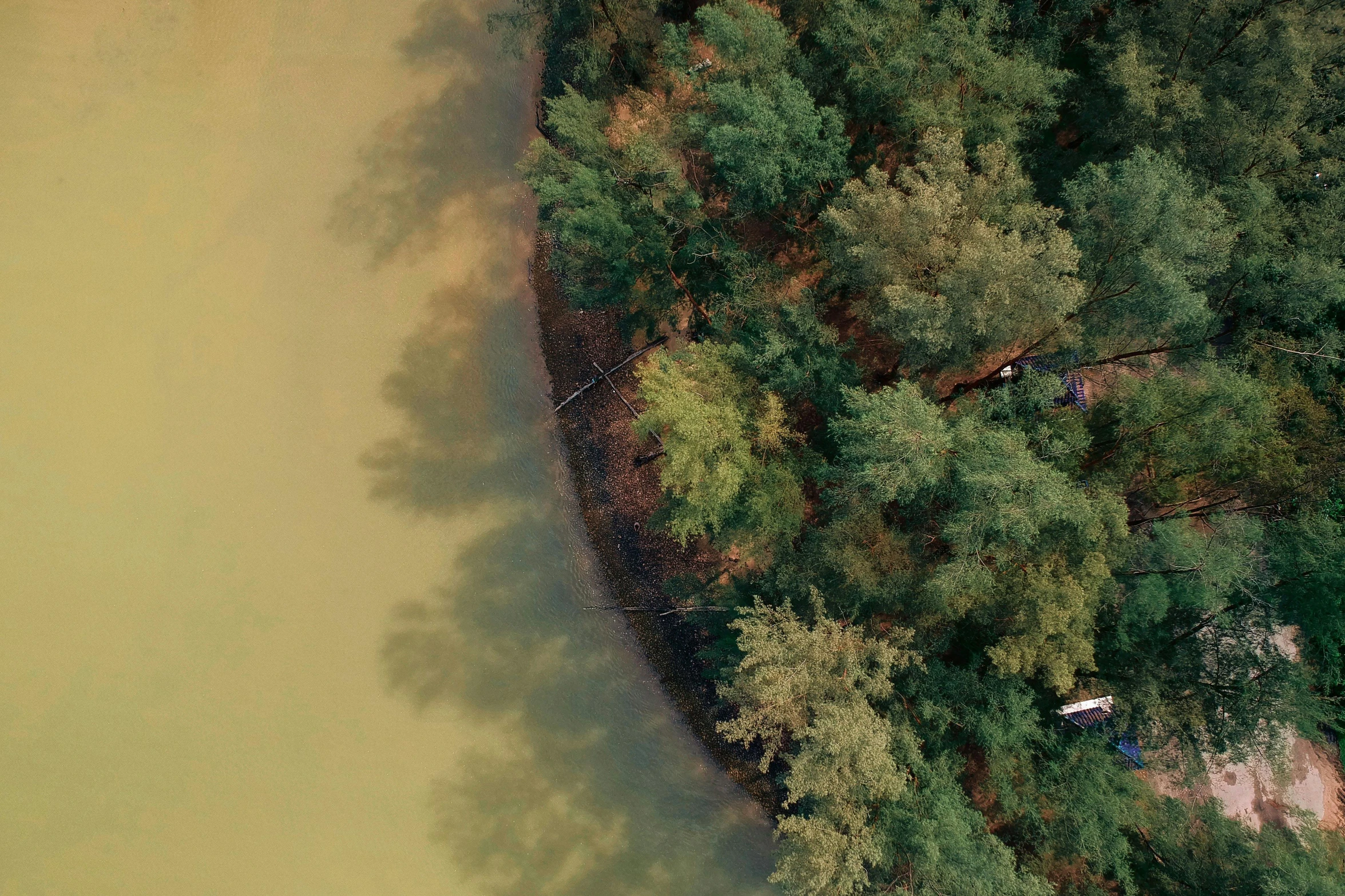 a large body of water surrounded by trees, by Eglon van der Neer, trending on unsplash, land art, camera looking down upon, muted colours 8 k, shot with sony alpha 1 camera, humans exploring