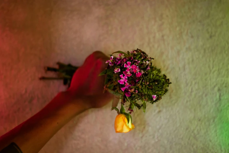 a person holding a bunch of flowers in their hand, an album cover, inspired by Elsa Bleda, unsplash, fantastic realism, wall torches, ayahuasca ceremony, ignant, multi - coloured