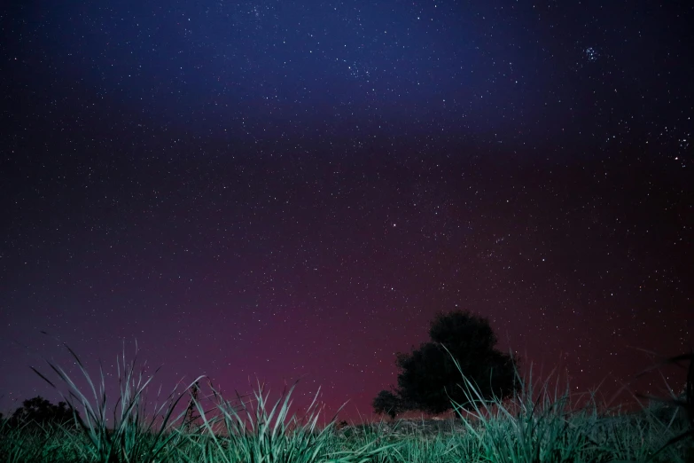 a fire hydrant sitting on top of a lush green field, by Peter Churcher, unsplash, hurufiyya, purple bioluminescence, northern star at night, pink and blue colour, earth seen on the dark sky