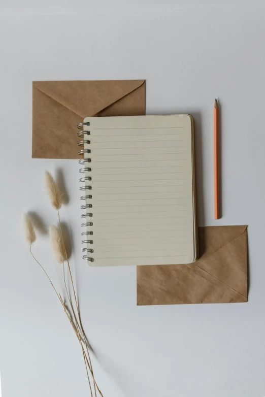 a notepad sitting on top of a table next to a pencil, dried plants, thumbnail, items, uploaded
