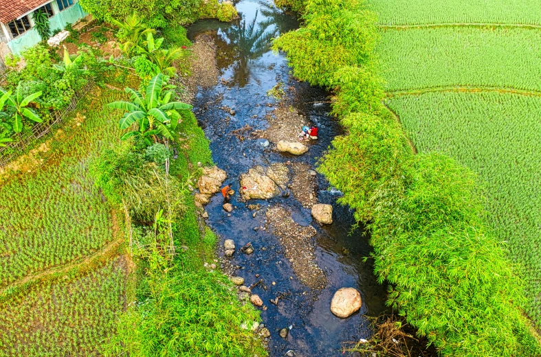 a river running through a lush green field, sumatraism, tiny people walking below, gardening, wide high angle view, real-life brook