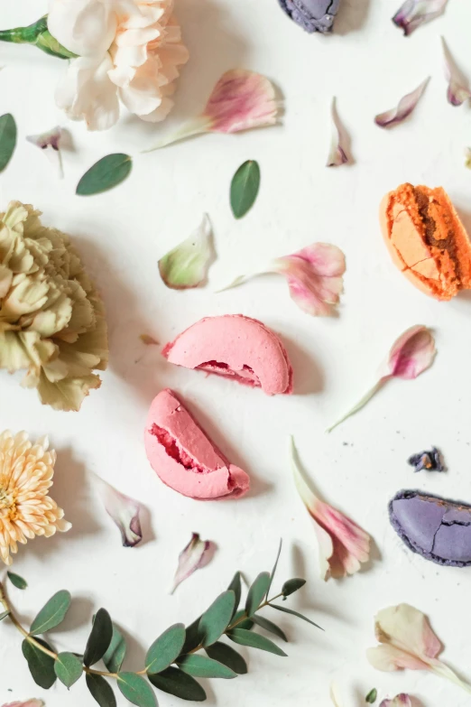 a white table topped with macarons and flowers, inspired by Rudolf von Alt, trending on unsplash, pastel flower petals flying, colorful mold, coxcomb, pigment
