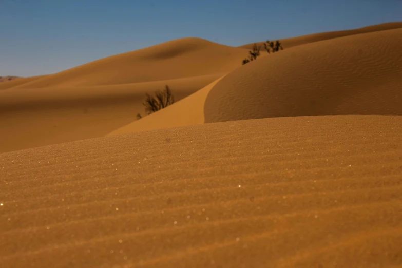 a group of people riding camels across a desert, pexels contest winner, les nabis, footprints in the sand, curved lines, stubble, megascans