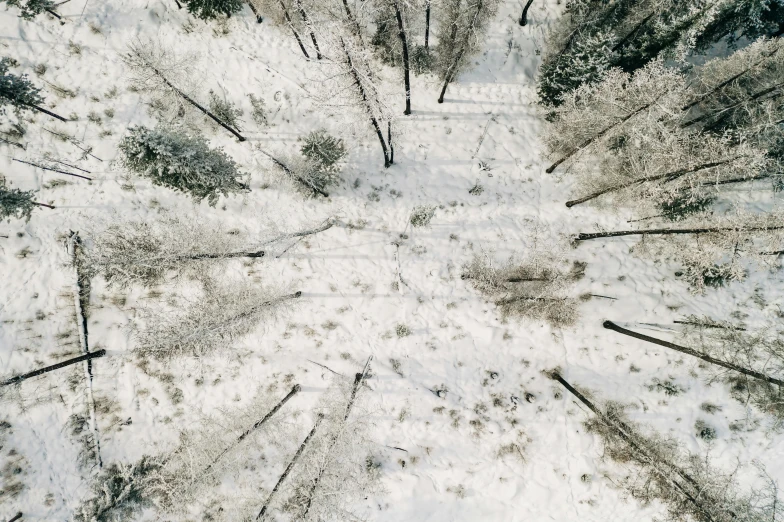 an aerial view of a snow covered forest, an album cover, by Jaakko Mattila, unsplash contest winner, land art, grey, looking up, ground perspective, a cozy