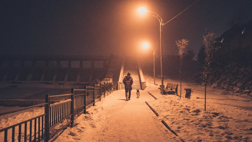 a person walking down a snow covered sidewalk at night, bridge, maxim shirkov, unsplash photography, with stray dogs