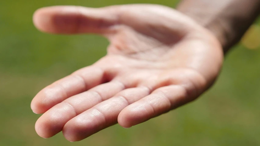 a close up of a person holding out their hand, lawns, open palm, vibrating, flattened