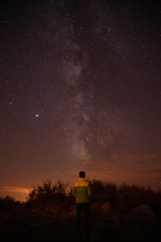 a man standing in the middle of a field looking up at the night sky, facing away from camera, david a