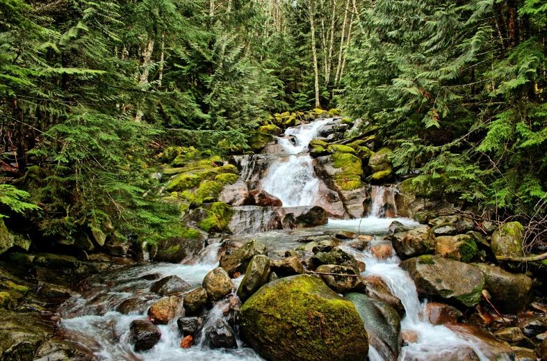 a stream running through a lush green forest, by Jim Nelson, pexels contest winner, whistler, 2 5 6 x 2 5 6 pixels, rocky roads, cascade