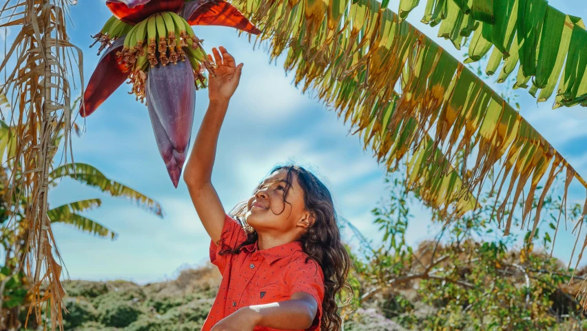 a woman picking bananas from a banana tree, a picture, by Daniel Schultz, pexels contest winner, wings made out of flowers, avatar image, kids, low angle shot