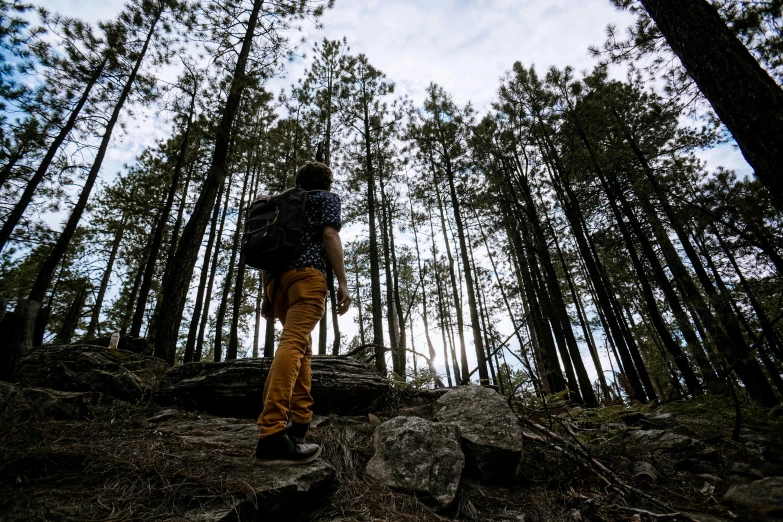 a person standing in the middle of a forest, hiking in rocky mountain, profile image