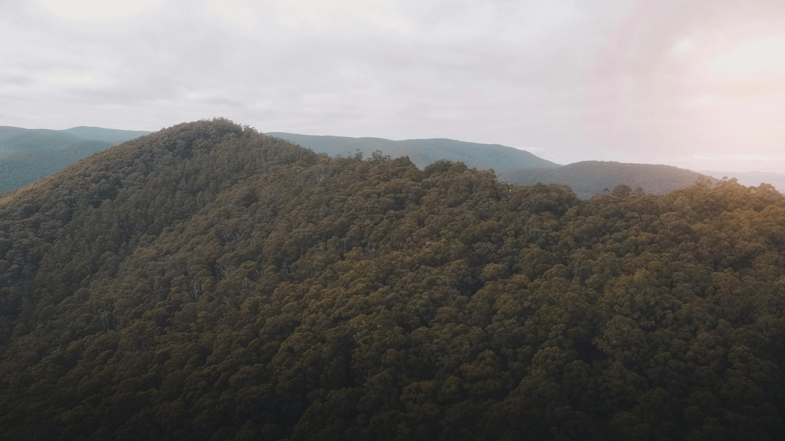 a mountain covered in lots of trees under a cloudy sky, inspired by Andreas Gursky, unsplash contest winner, australian tonalism, ultrawide angle cinematic view, no people 4k, overcast gray skies, brown