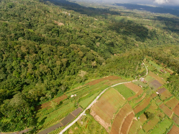 an aerial view of a lush green valley, sumatraism, ecovillage, slide show, thumbnail, leaked image