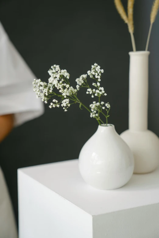 a couple of vases sitting on top of a white table, white flower, over-the-shoulder shot, full product shot, small