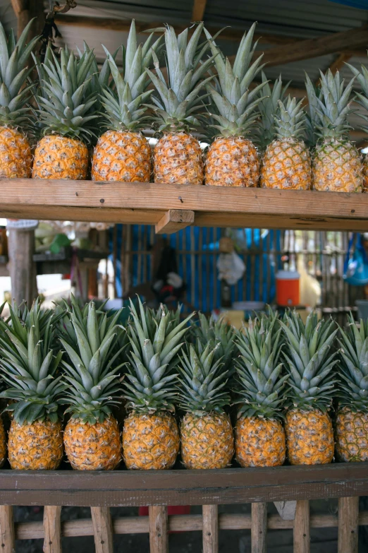 a bunch of pineapples sitting on top of wooden shelves, cambodia, square, on display, hooded