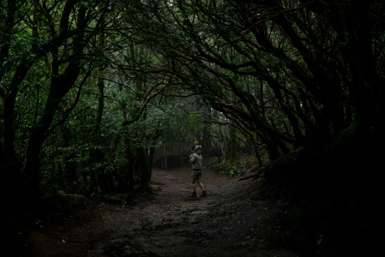 a man walking down a dirt path in the woods, a portrait, by Elsa Bleda, unsplash contest winner, australian tonalism, cloud forest, te pae, weta workshop, photograph taken in 2 0 2 0