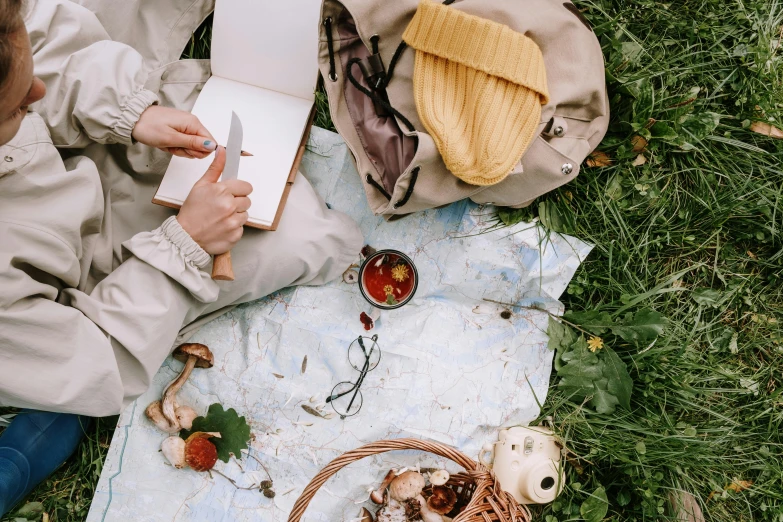 a woman sitting on top of a blanket next to a basket of food, by Julia Pishtar, pexels contest winner, drawing sketches on his notebook, forest picnic, flatlay, background image