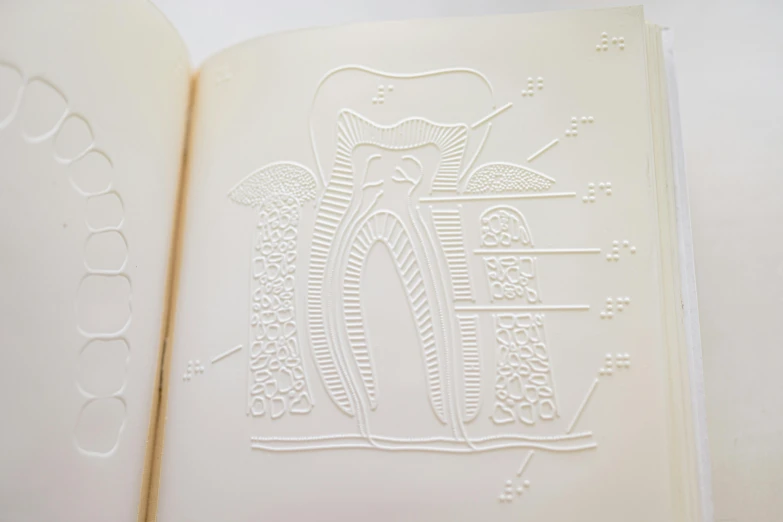 a close up of an open book on a table, an etching, ascii art, dentist, ivory, organic forms, coloring book outline