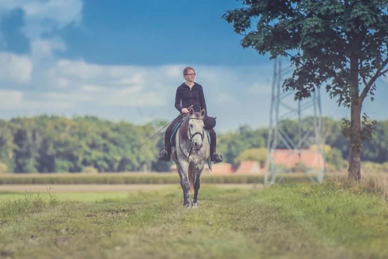 a woman riding a horse through a lush green field, by Daarken, unsplash, baroque, grey, rectangle, eldenring, urban surroundings