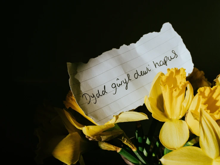 a bouquet of yellow flowers with a note on it, by Carey Morris, pexels contest winner, dying, divayth fyr, 30 year old man, cysts