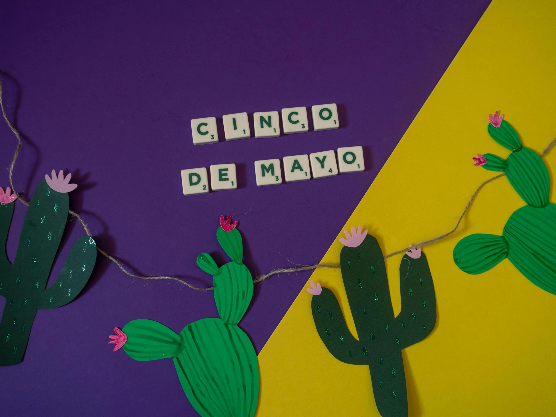 a couple of cactuses sitting on top of a purple and yellow wall, inspired by Ceferí Olivé, pexels contest winner, lyco art, string lights, cubes on table, green letters, emma bridgewater and paperchase