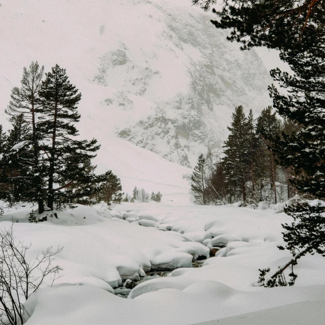 a man riding skis down a snow covered slope, a picture, pexels contest winner, les nabis, trees bent over river, norwegian landscape, a cozy, white