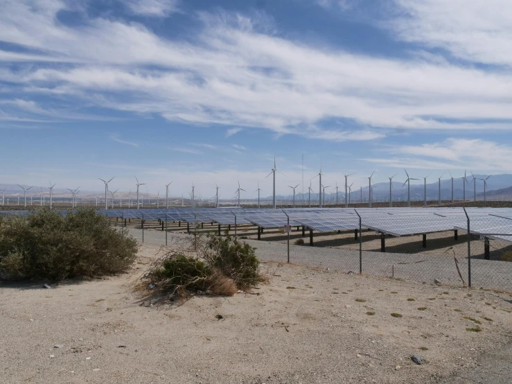 a field of solar panels with wind turbines in the background, unsplash, realism, palm springs, sparsely populated, 8k octan photo, shoreline