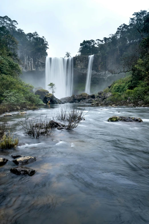 a waterfall in the middle of a lush green forest, an album cover, pexels contest winner, guangjian, grey, fountains, chile