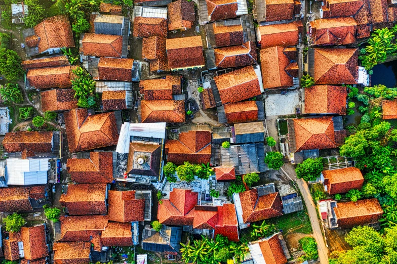 a bird's eye view of a small village, pexels contest winner, renaissance, south jakarta, orange roof, 8k detail, square