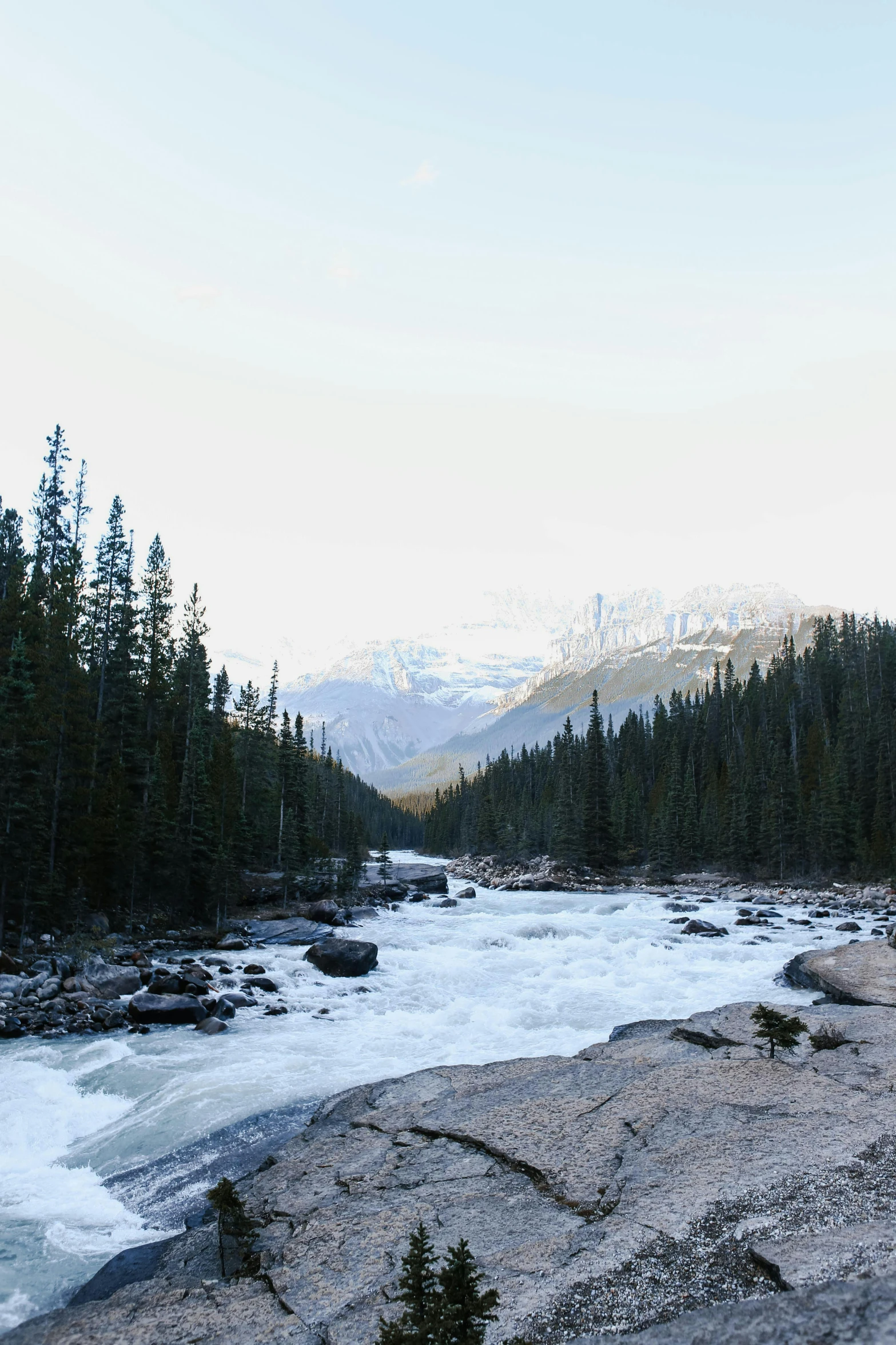 a man standing on top of a rock next to a river, an album cover, trending on unsplash, banff national park, river rapids, panoramic shot, pine trees