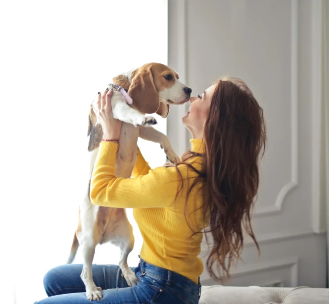 a woman sitting on a couch holding a dog, cute beagle, profile image, decoration, multiple stories