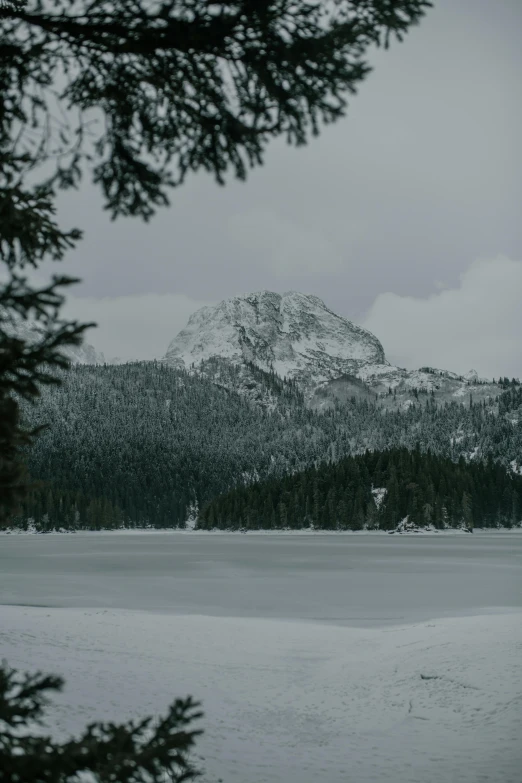 a man riding skis down a snow covered slope, a black and white photo, unsplash contest winner, renaissance, build in a forest near of a lake, large mountain, slightly pixelated, evergreen