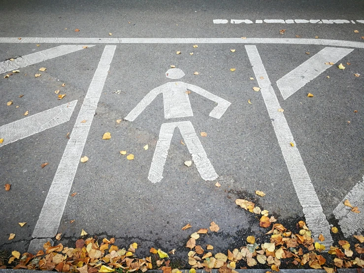 a man walking across a street with leaves on the ground, by Jesper Knudsen, unsplash, street art, traffic signs, square, autum, pictogram