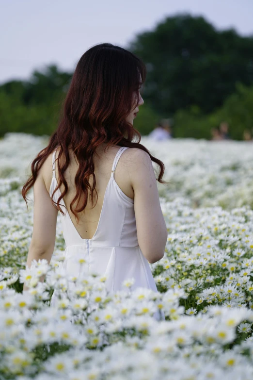 a woman standing in a field of white flowers, wearing white camisole, back towards camera, daysies, an asian woman