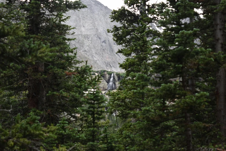 a forest filled with lots of trees and a mountain in the background, by Kristin Nelson, unsplash, hurufiyya, with trees and waterfalls, hiking in rocky mountain, 2000s photo