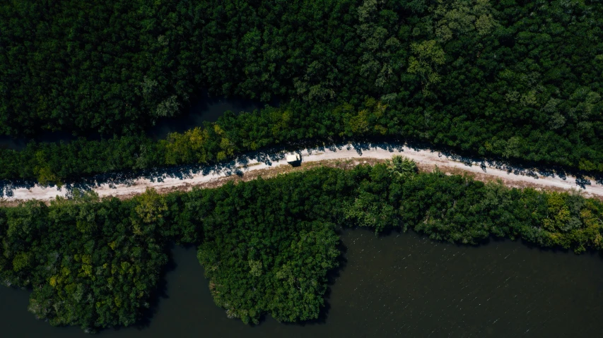 an aerial view of a road surrounded by trees, an album cover, pexels contest winner, hurufiyya, mangrove swamp, many people, 3 / 4 wide shot, aerial view cinestill 800t 18mm