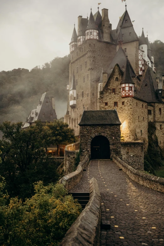a castle sitting on top of a lush green hillside, by Johannes Voss, pexels contest winner, under a gray foggy sky, medieval gates, autumnal, german renaissance architecture