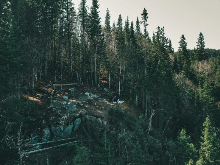 a forest filled with lots of trees and rocks, by Jaakko Mattila, pexels contest winner, hurufiyya, long shot view, forest picnic, falling off a cliff, chilling 4 k