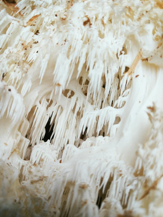 a close up of a piece of food with icing on it, a macro photograph, by Jessie Algie, unsplash, process art, high detailed thin stalagmites, inside of an expansive cave, albino hair, lots of white cotton