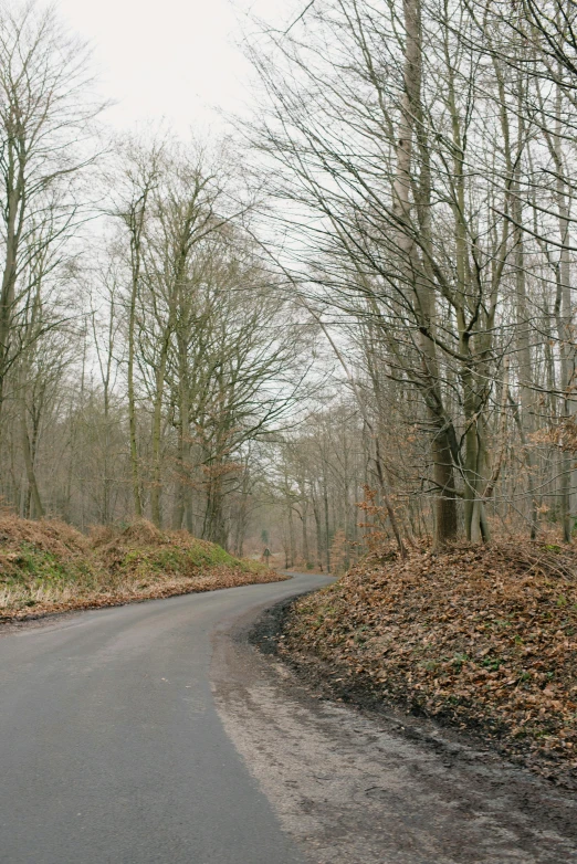 a man riding a skateboard down a curvy road, inspired by Thomas Struth, deer in sherwood forest, sparse winter landscape, bocage, panoramic