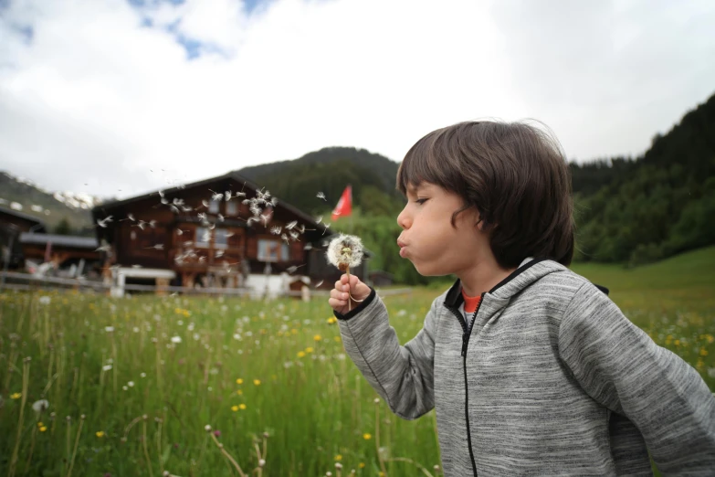 a young boy blowing a dandelion in a field, by Sebastian Spreng, pexels contest winner, in the swiss alps, avatar image, icon, stood outside a wooden cabin