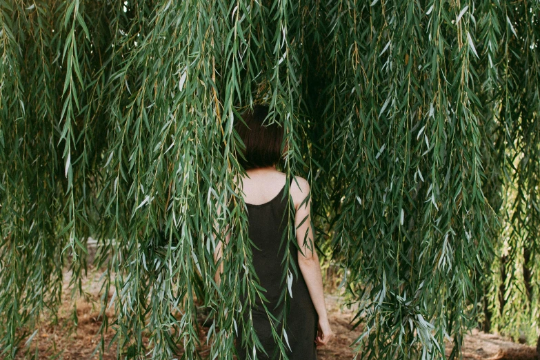 a woman in a black dress standing under a tree, unsplash, symbolism, willow plant, hiding behind obstacles, wearing green clothing, wearing a cropped black tank top