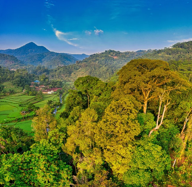 a river running through a lush green valley, inspired by Erik Pevernagie, pexels contest winner, sumatraism, panorama distant view, hideen village in the forest, slide show, evening light