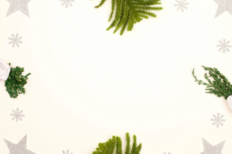 christmas greenery arranged in a circle on a white background, inspired by Fernando Gerassi, trending on pexels, folk art, background image, cozy calm! fabrics textiles, fern, desktop wallpaper