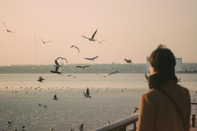 a woman looking at seagulls flying over a body of water, pexels contest winner, faded color film, afternoon hangout, birds flying in the distance, early morning light