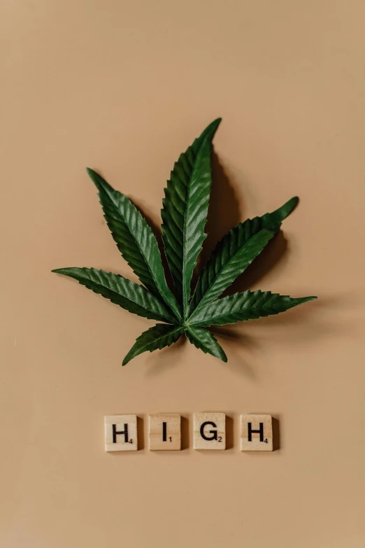 a marijuana leaf with the word high spelled on it, an album cover, inspired by Mary Jane Begin, trending on pexels, renaissance, is tall, high gradient, high-definition picture, made of high tech materials