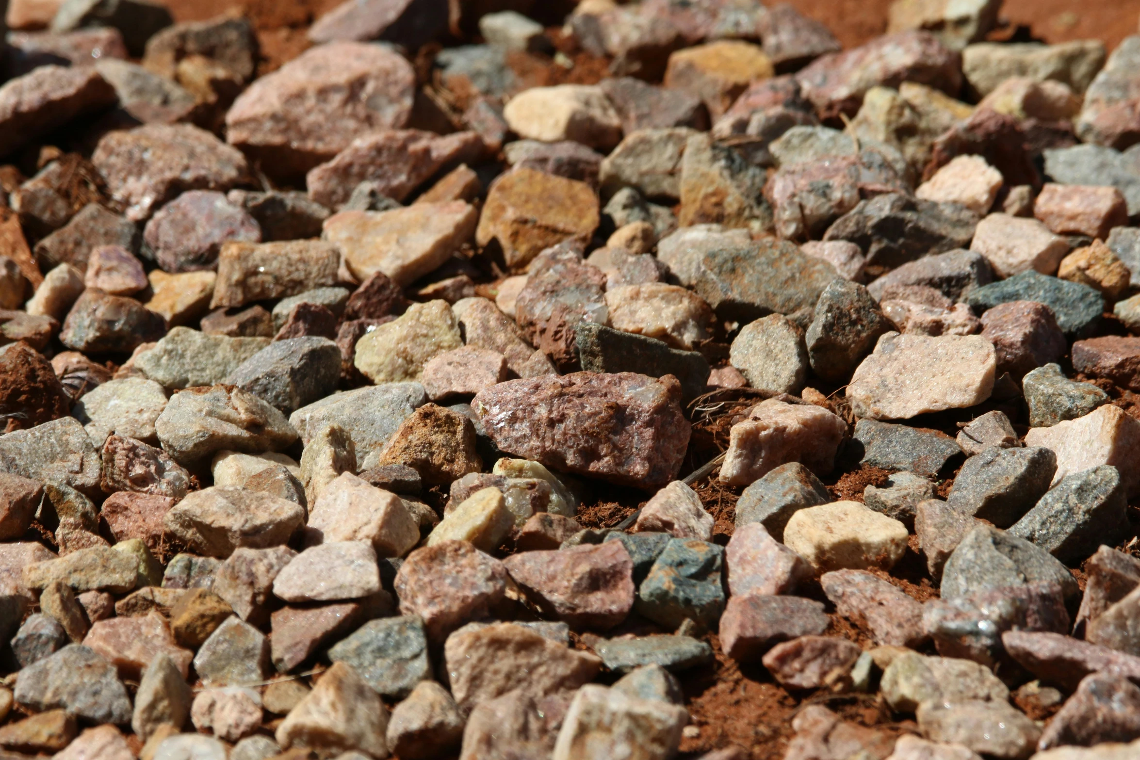 a bird sitting on top of a pile of rocks, an album cover, inspired by Albert Namatjira, unsplash, gravel and scree ground, highly detailed close up shot, round-cropped, closeup 4k